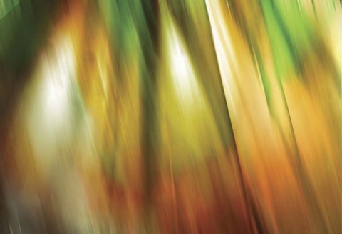 Framed Tie Dye II Print