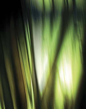 Framed Organic I Print