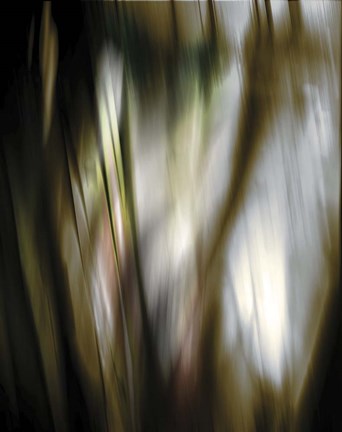 Framed Organic III Print