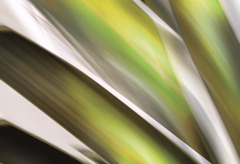 Framed Organic VI Print