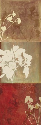 Framed Rustique II Print