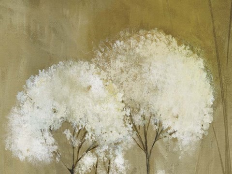 Framed Whisper II Print