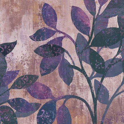 Framed Viola II Print