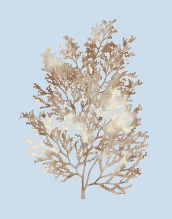 Framed Coral III Print