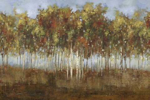 Framed Dream Meadow II Print