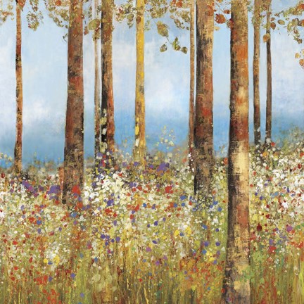 Framed Field of Flowers  II Print