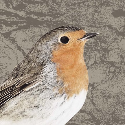 Framed Feathered V Print