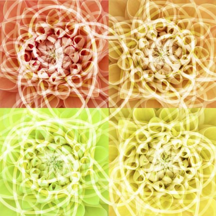 Framed Scribbles Print