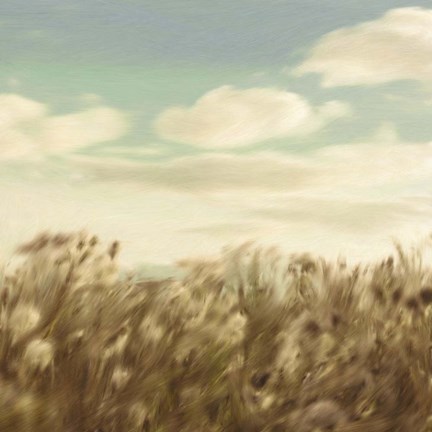 Framed Dandelion Field Print