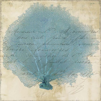 Framed Blue Coral IV Print