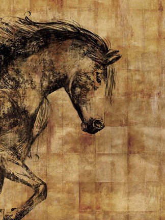 Framed Stallion I - Print on Demand Print