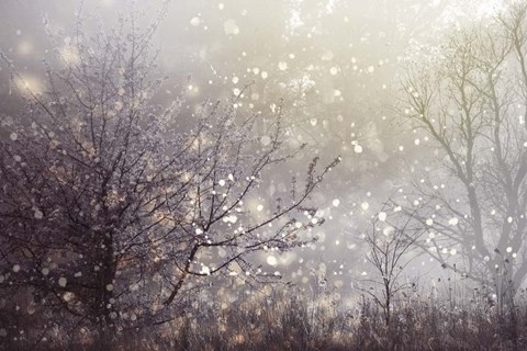 Framed Atmospheric I Print