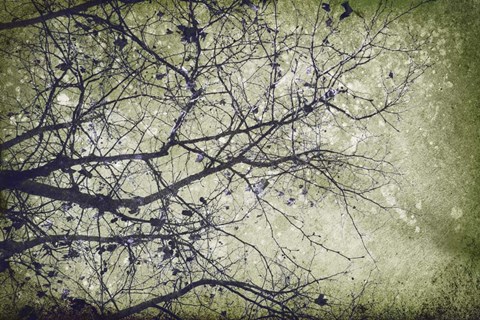 Framed Atmospheric II Print