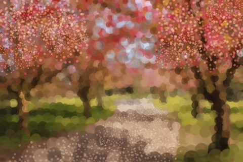 Framed Undeterred Spring Print