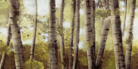 Framed Palest Gold Print