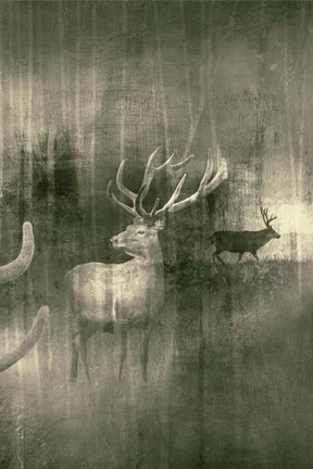 Framed Open Plain Print