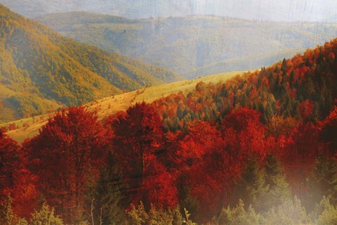 Framed Crimson Country Print