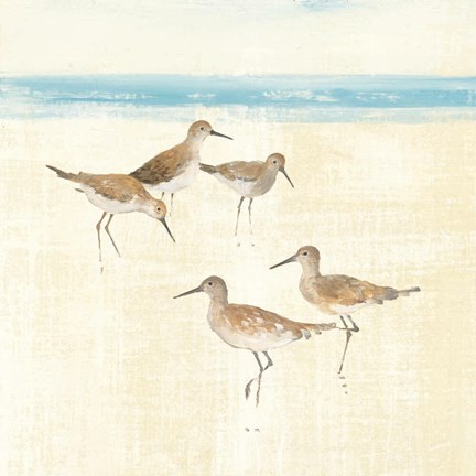 Framed Sandpipers Square I Blue Print