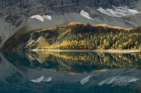 Framed Floe Lake Print