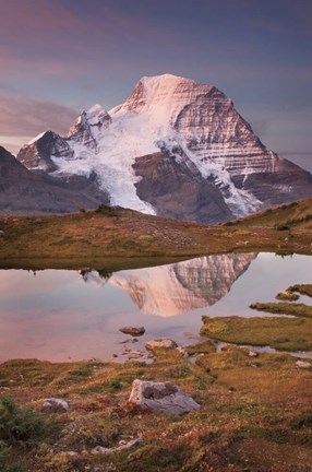 Framed Mount Robson Print