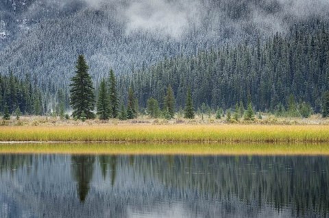 Framed Waterfowl Lake II Print