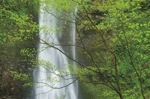 Framed Double Falls II color Print