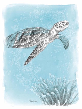 Framed Coastal Sea Life I Print