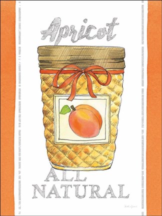 Framed Canning Kitchen VIII Print