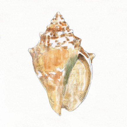 Framed Golden Treasures V on White Print