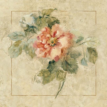 Framed Provence Rose II Print