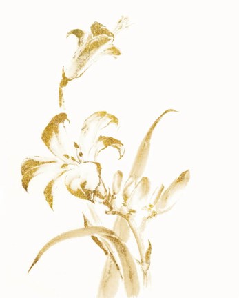 Framed Sumi Daylily II Gold Print