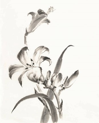 Framed Sumi Daylily II Print