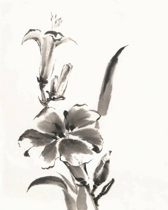 Framed Sumi Daylily III Print