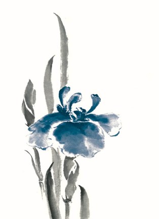Framed Japanese Iris II Crop Indigo Print