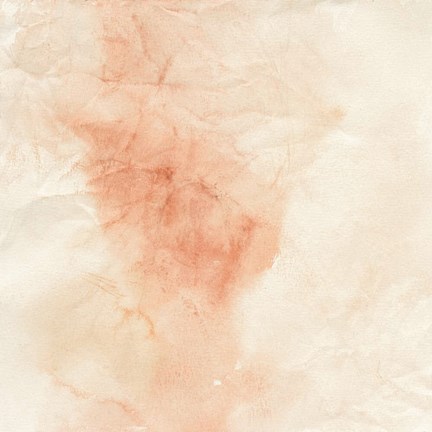 Framed Crinkle Russet Print