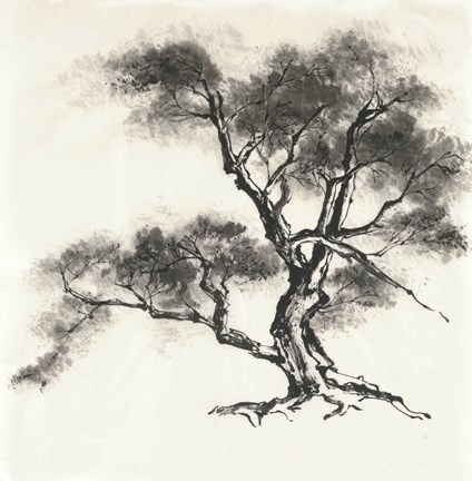 Framed Sumi Tree II Print