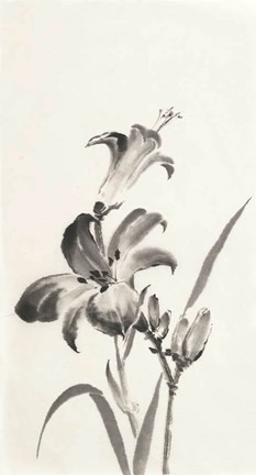 Framed Sumi Daylily I Print