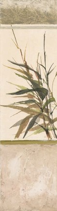 Framed Scrolled Textural Grass III Print