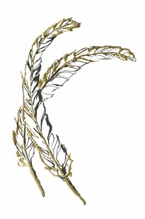 Framed Gilded Hackles Feather Print