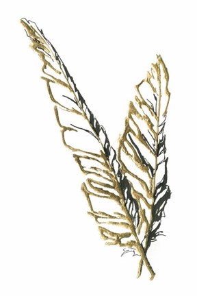 Framed Gilded Raven Feather Print