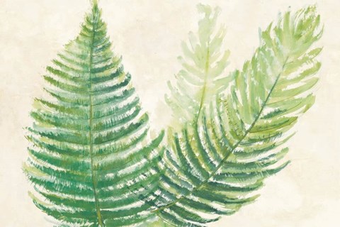 Framed Ferns Square III v2 on Cream Print