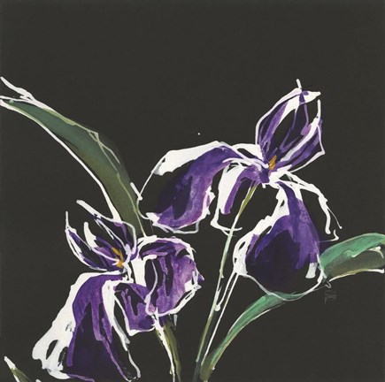 Framed Iris on Black I Print