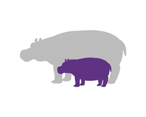 Framed Silhouette Hippo and Calf Purple Print