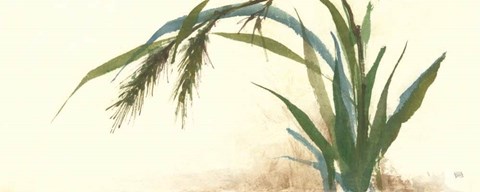 Framed Horizontal Grass II Print