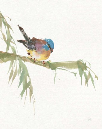 Framed Finch v2 Print