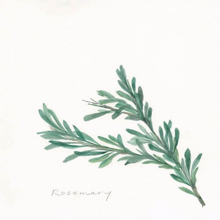 Framed Rosemary II Print