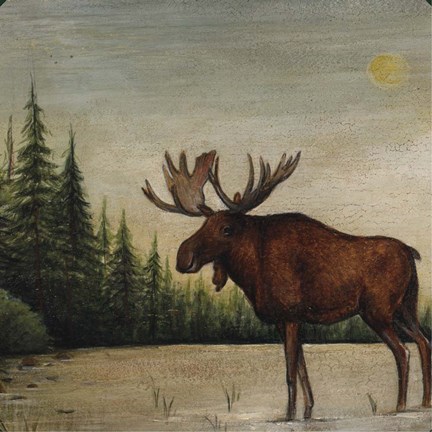 Framed North Woods Moose II Print