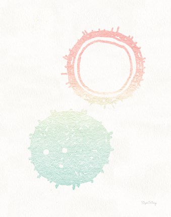 Framed Sunset Palms Fruit IV Print