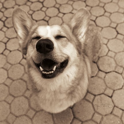 Framed Smile and The World Smiles with You Crop Print