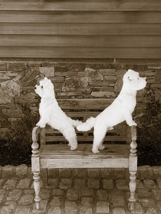 Framed We are Ready Print